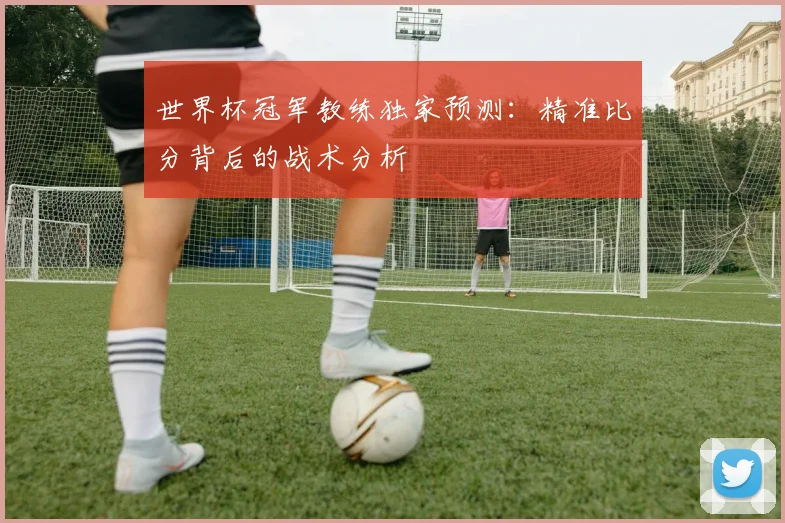世界杯冠军教练独家预测:精准比分背后的战术分析