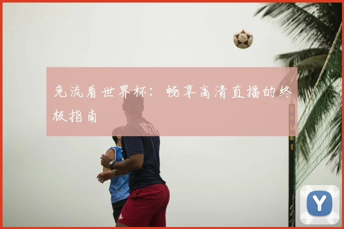免流看世界杯:畅享高清直播的终极指南