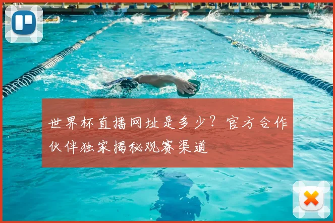 世界杯直播网址是多少?官方合作伙伴独家揭秘观赛渠道