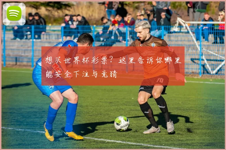 想买世界杯彩票?这里告诉你哪里能安全下注与竞猜