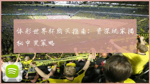 体彩世界杯购买指南:资深玩家揭秘中奖策略