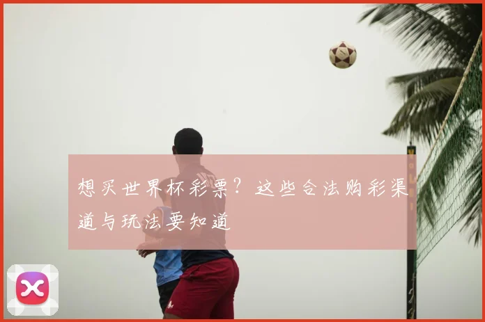 想买世界杯彩票?这些合法购彩渠道与玩法要知道