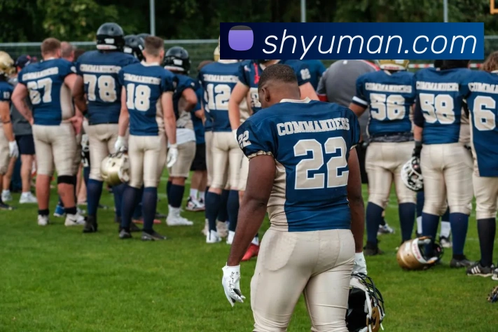 开云app登录入口app平台生态图