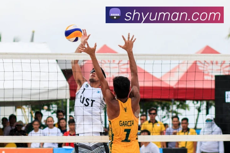 开云app登录入口appAPP 封面图